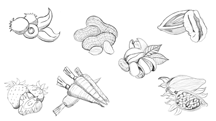 DESIGN:// Perslice - Baking Ingredient Illustration